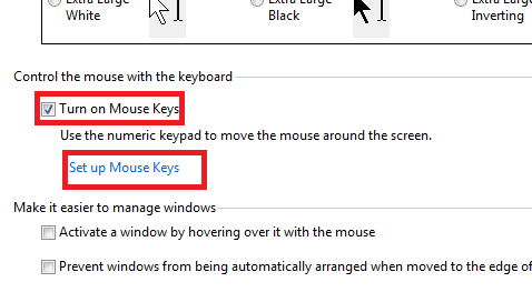 Turn on mouse keys