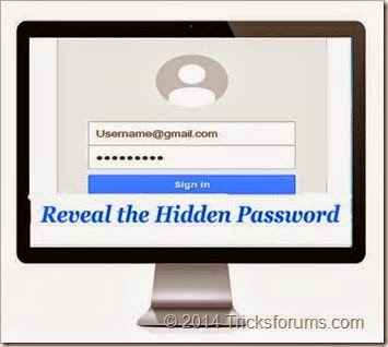 View hidden password